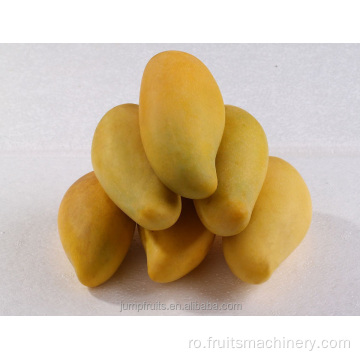 Cea mai bună mașină de fabricare a sucurilor de mango de mango